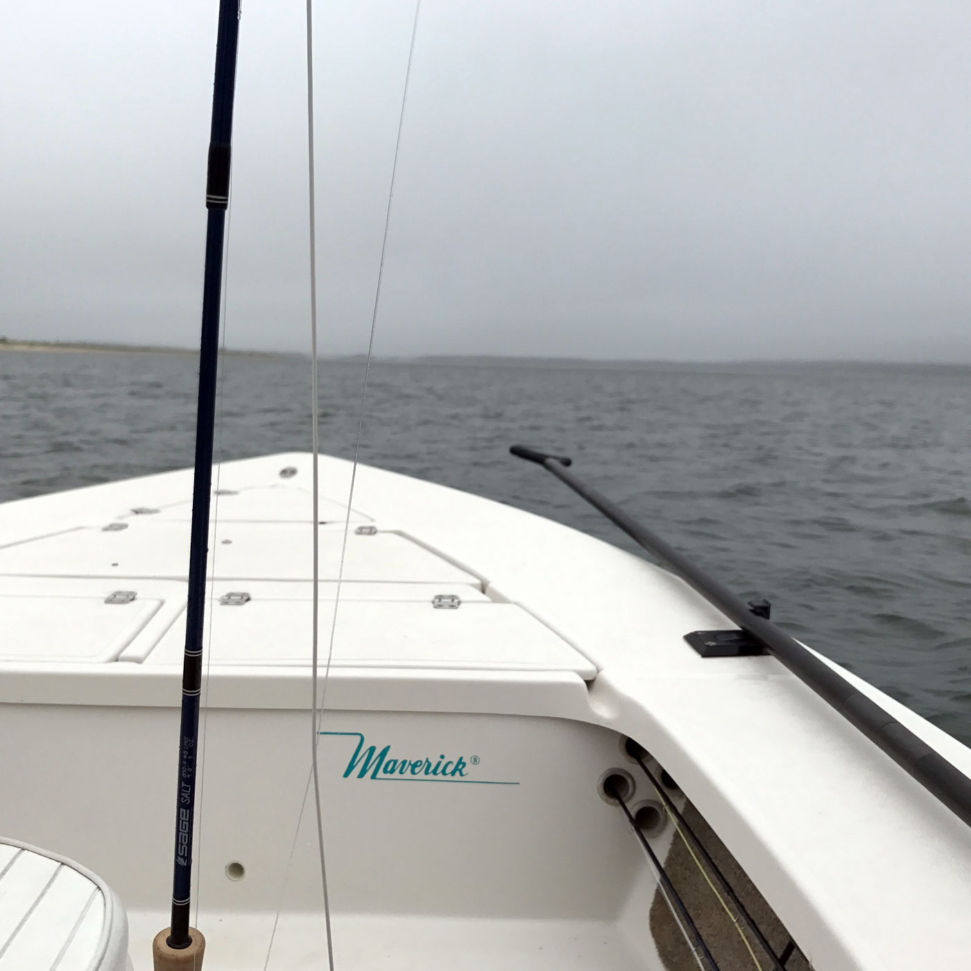 The North Fork: Striped Bass Fly Fishing