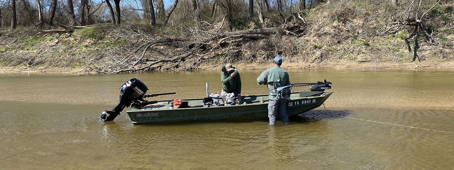 4 Proven Tips for White Bass Fly Fishing